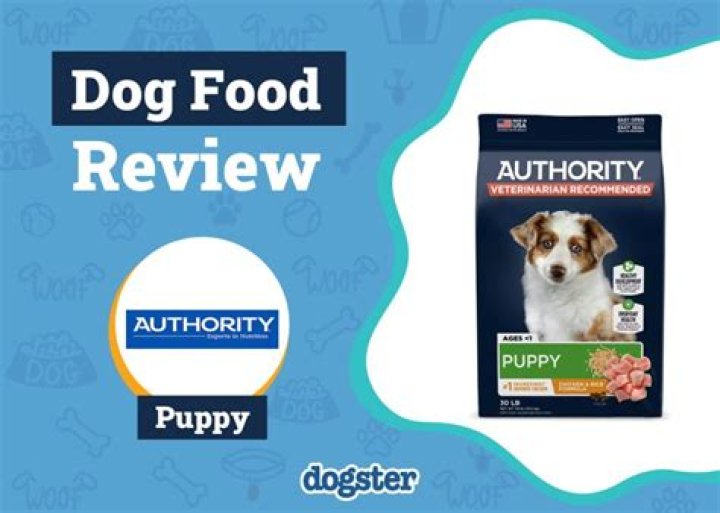 Are authority treats good for dogs?