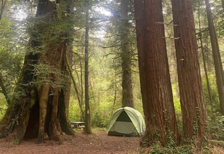 Are camping sites closed in California?