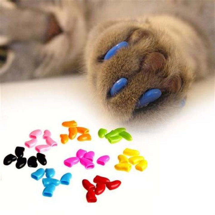 Are claw covers bad for cats?