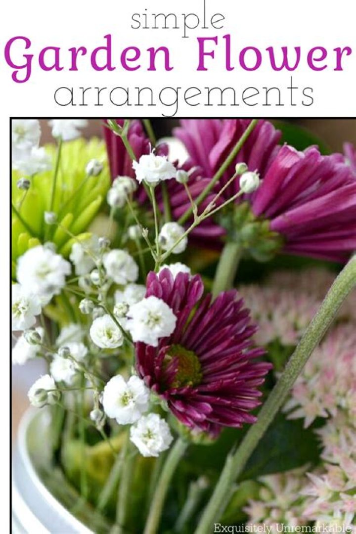 Are daisies expensive?