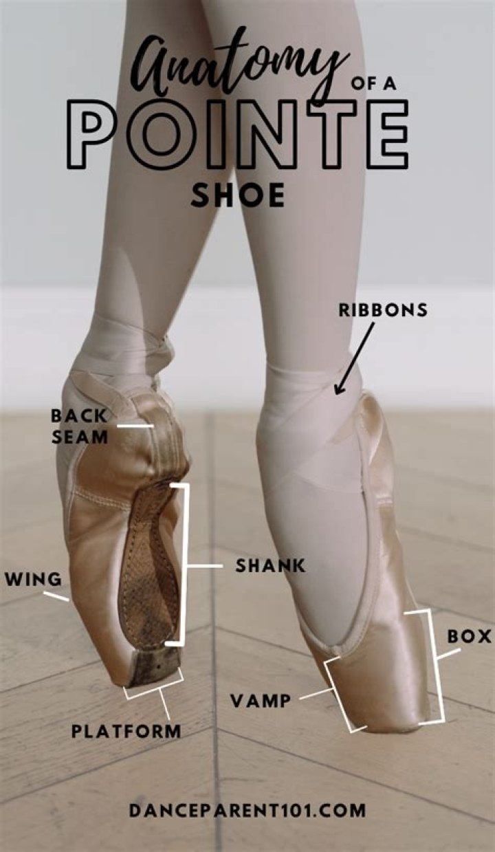 Are Gaynor Minden pointe shoes good for beginners?