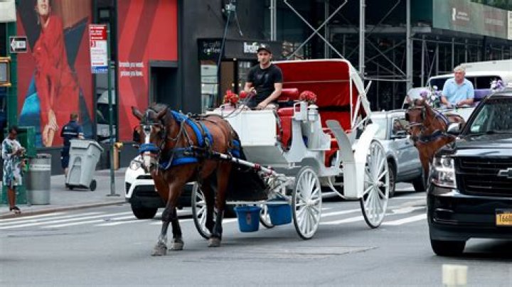 Are horse drawn carriages Street Legal NYC?