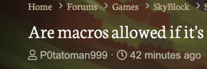 Are macros allowed in RS?