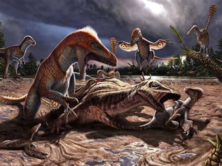 Are oreodonts extinct?