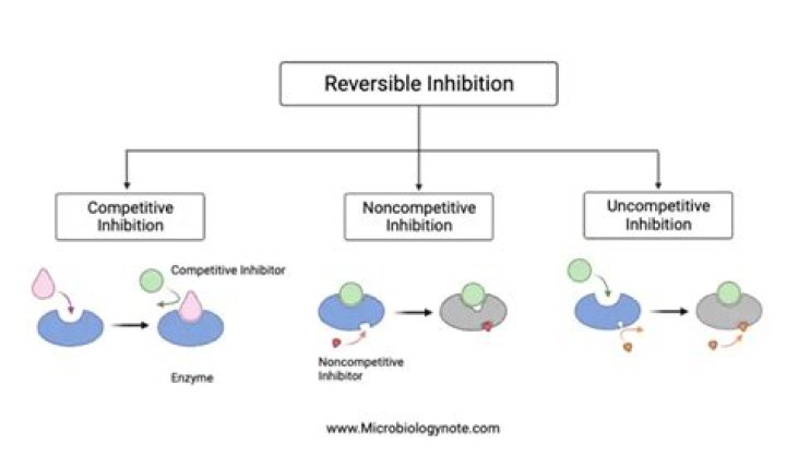 Are protease inhibitors irreversible?