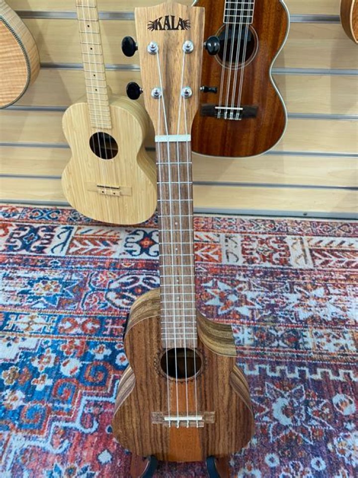 Are Risa ukuleles good?
