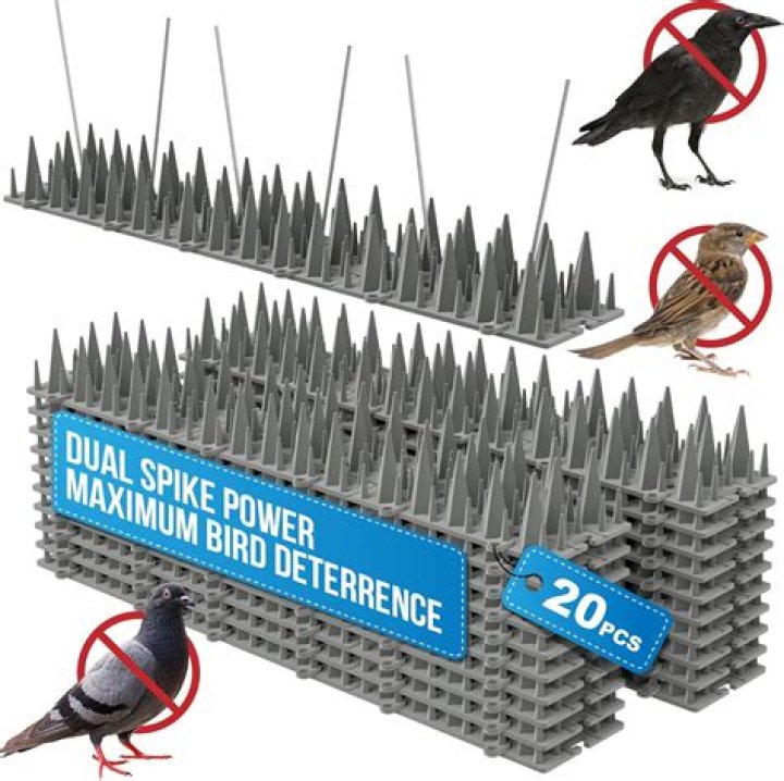 Are soft spikes allowed?