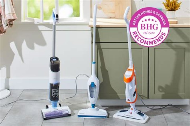Are steam mops worth getting?