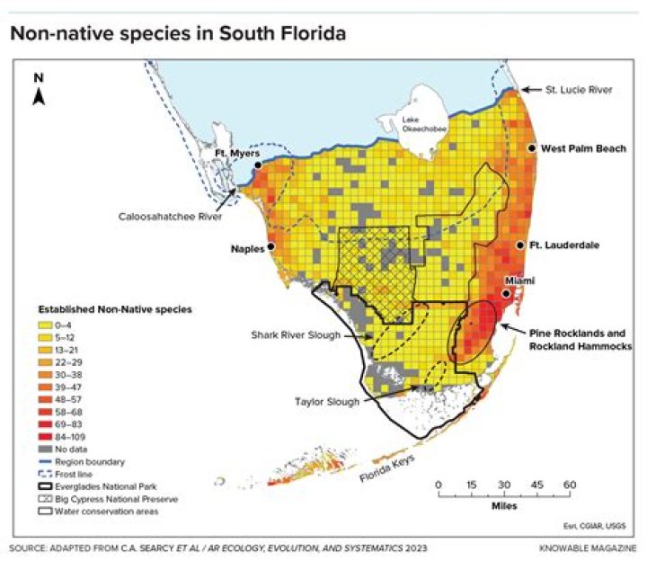 Are tegus a problem in Florida?