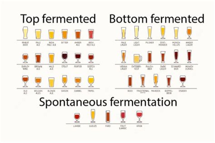 Are there different types of brewers yeast?