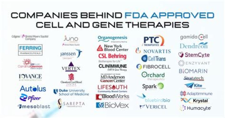 Are there FDA approved gene therapies?