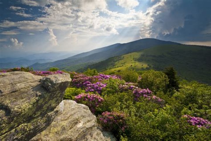 Are there guided hikes of the Appalachian Trail?