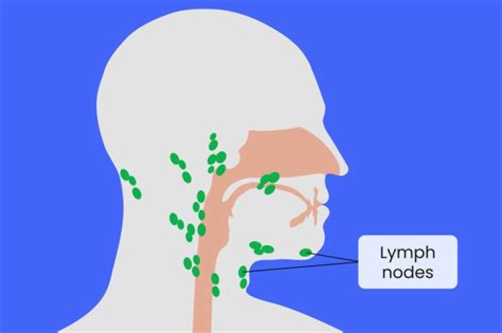 Are there lymph nodes along the jawline?