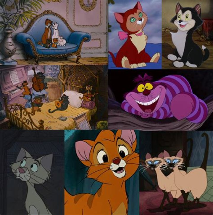 Are there Siamese cats in Aristocats?
