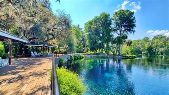 Are there springs near Jacksonville Florida?