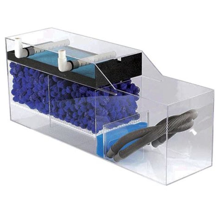 Are wet/dry filters good for freshwater aquariums?
