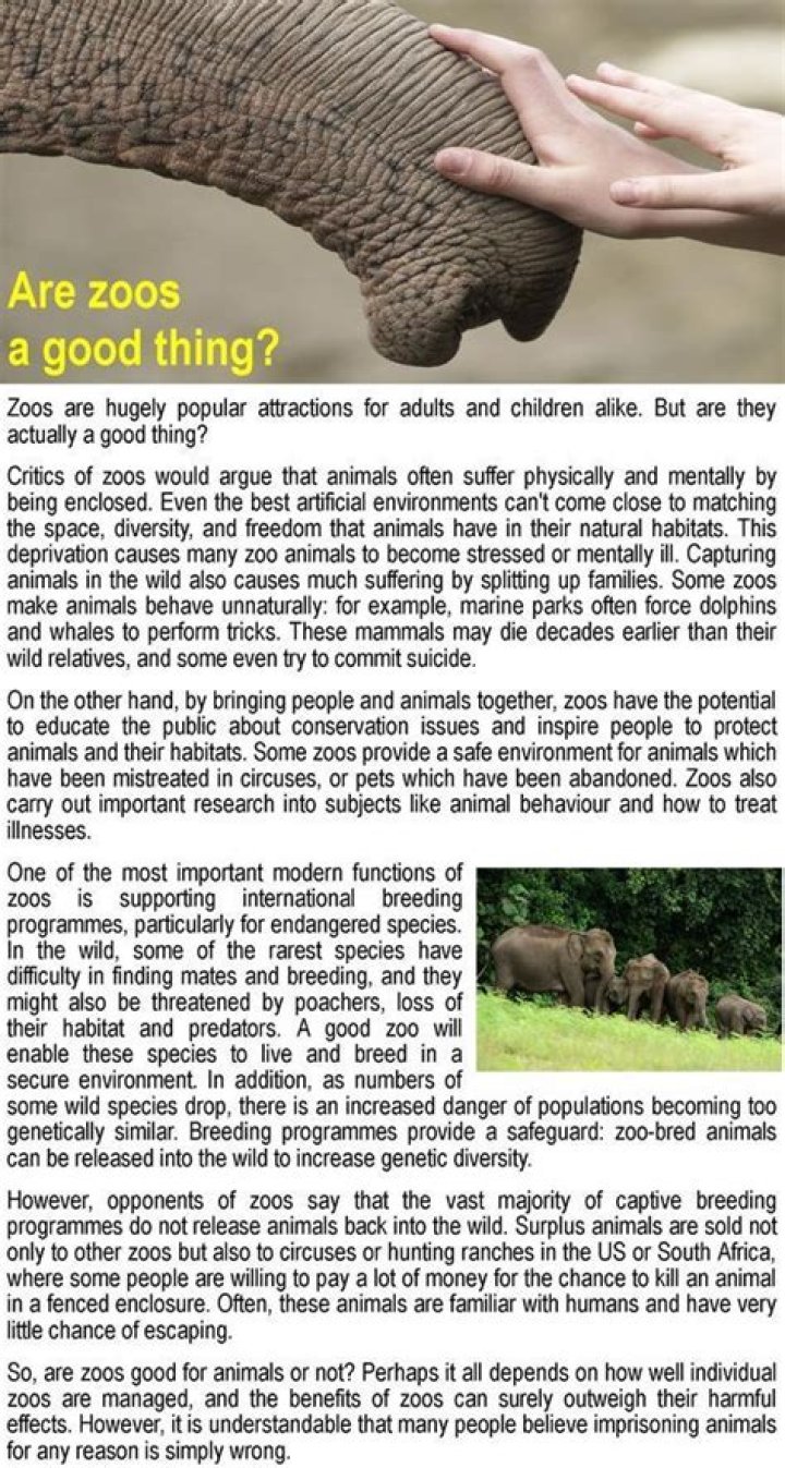 Are zoos a good thing essay?