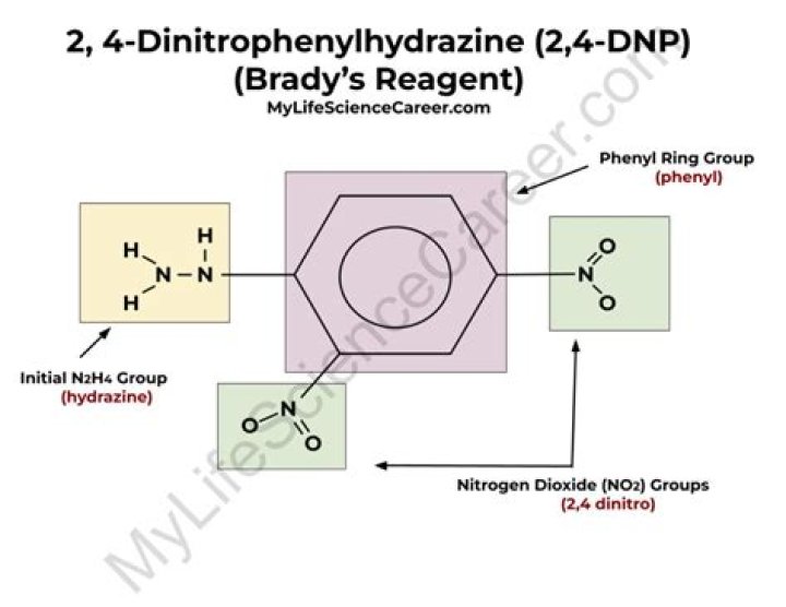 Can 2,4-dinitrophenylhydrazine reagent distinguish between an aldehyde and a ketone?
