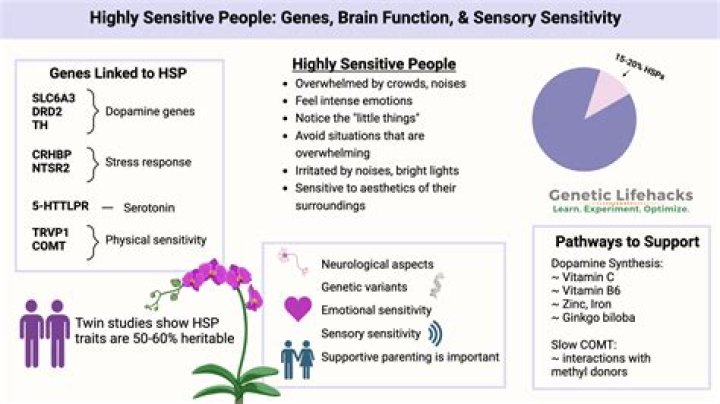 Can 2 highly sensitive people be together?
