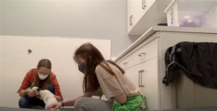 Can a 14 year old volunteer UK?