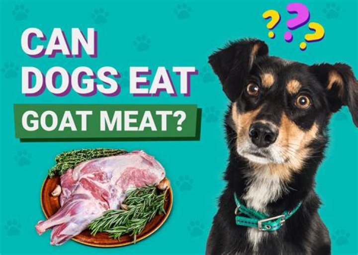 Can a diabetic eat goat meat?