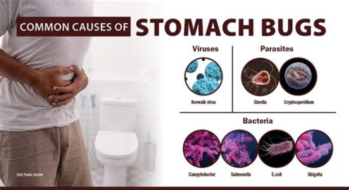 Can a stomach bug cause diarrhea?