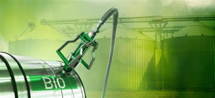 Can algae biofuel be used in cars?