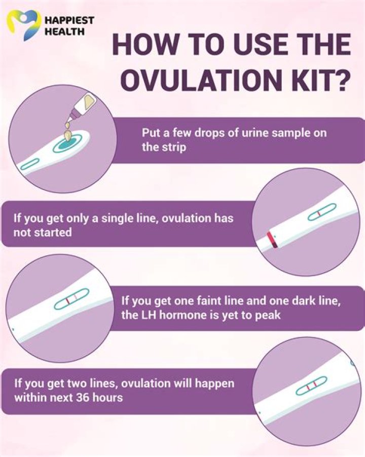 Can an ovulation test be positive if not pregnant?