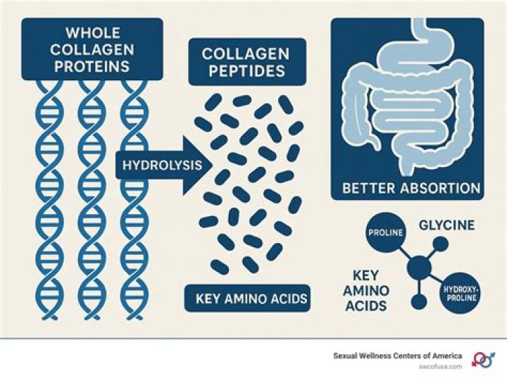 Can collagen be absorbed through drinking?