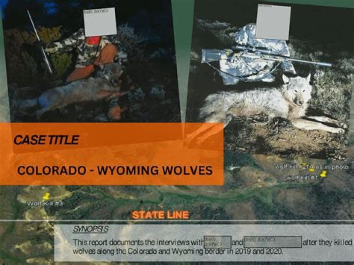Can CVA Wolf shoot loose powder?