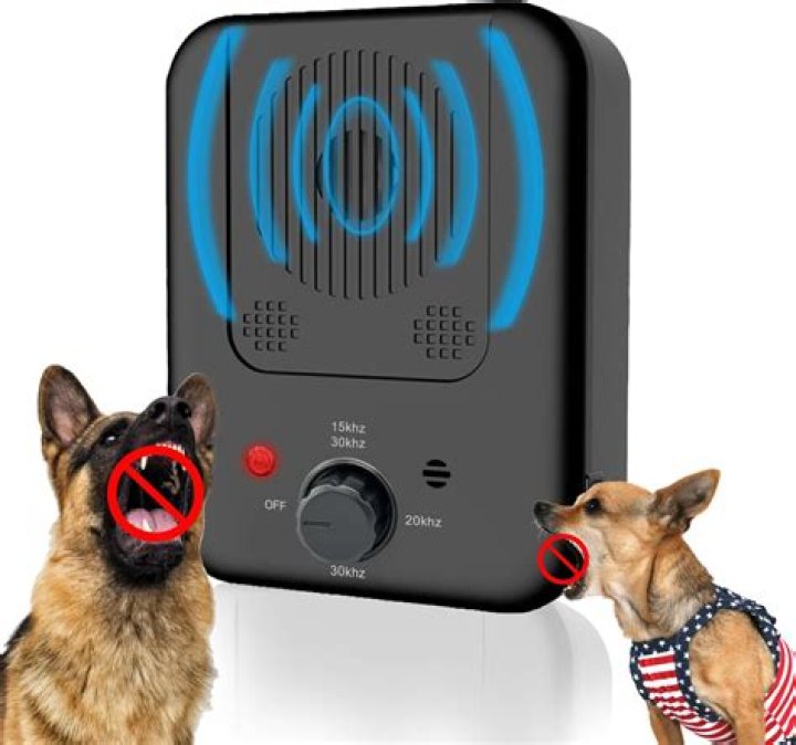 Can dog trainers help with barking?