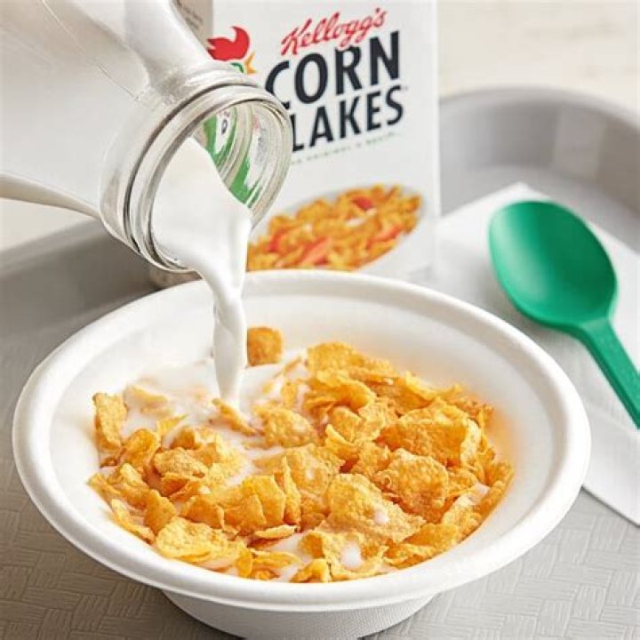 Can dogs eat corn flakes and milk?