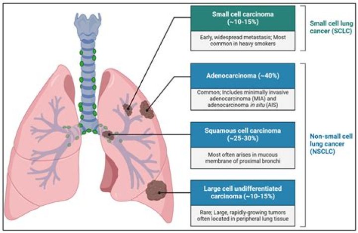 Can E coli affect the lungs?