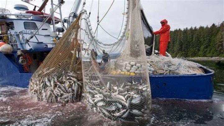 Can First Nations sell the fish they catch?