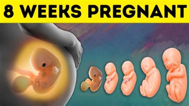 Can first time moms show at 8 weeks?