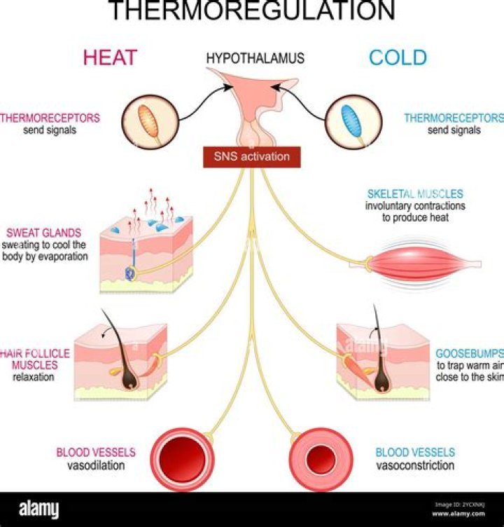 Can hypothermia cause shaking?