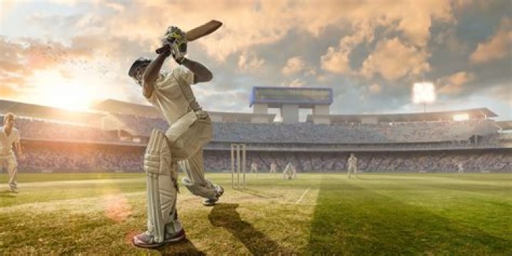 Can I become cricketer in New Zealand?