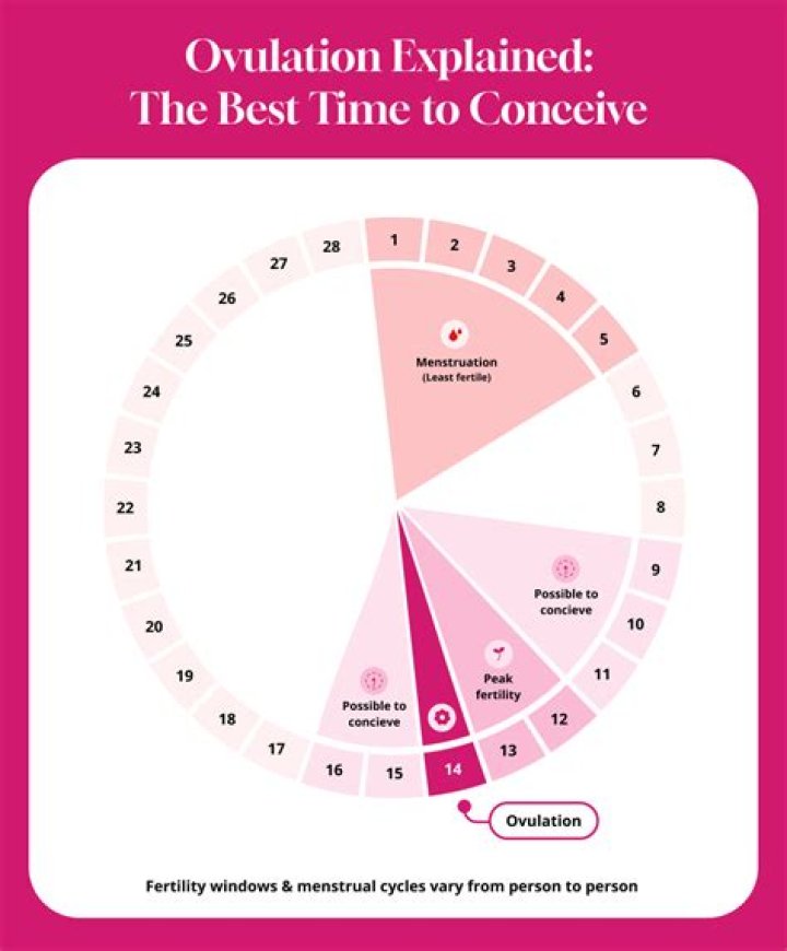Can I conceive 2 days before ovulation?