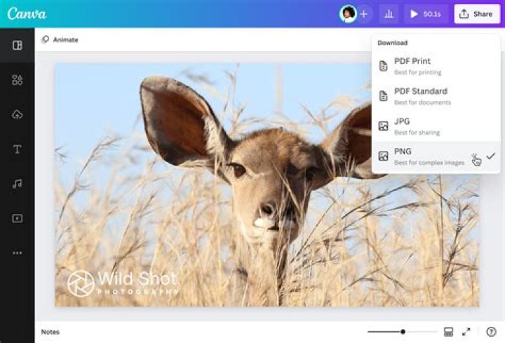 Can I remove Bonjour software?