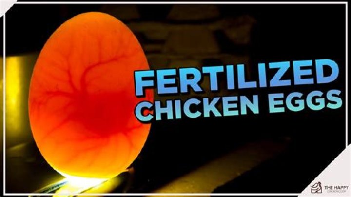 Can I sell my chicken eggs in Wisconsin?
