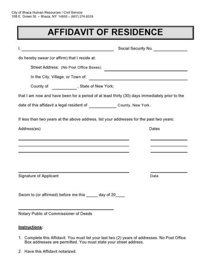 Can I use affidavit for passport?