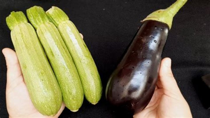 Can I use zucchini instead of eggplant?
