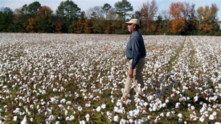 Can I work at cotton on at 16?