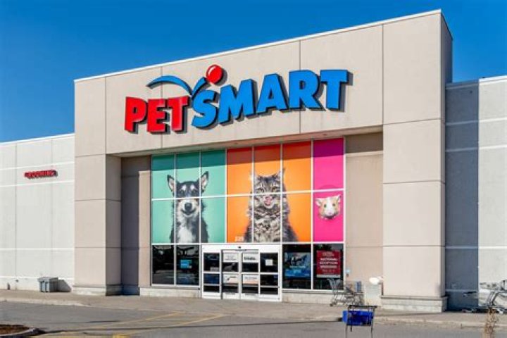Can I work at PetSmart at 14?