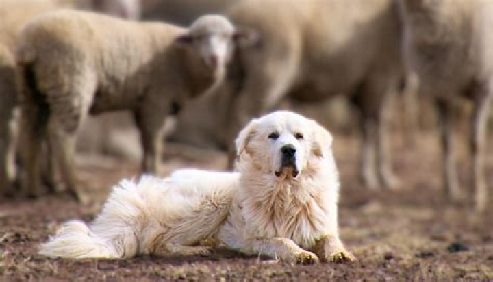 Can I work on a farm at 16?