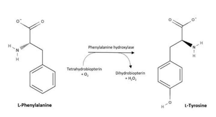 Can L-Tyrosine make you irritable?