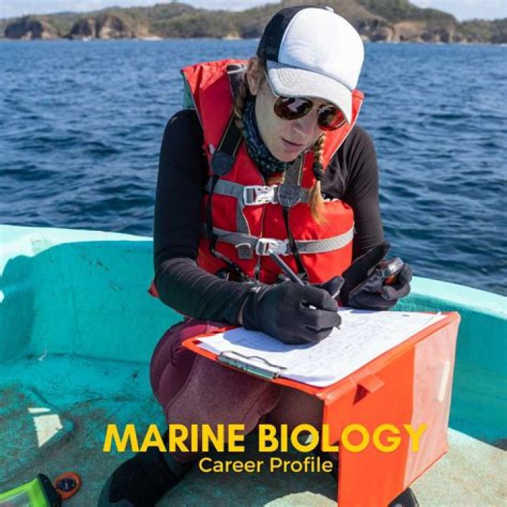 Can marine biology minor?