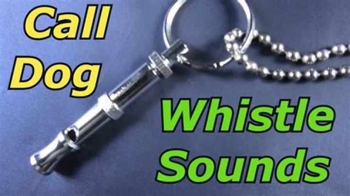 Can my phone make a dog whistle?