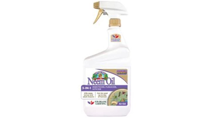Can neem oil be used on cats for fleas?