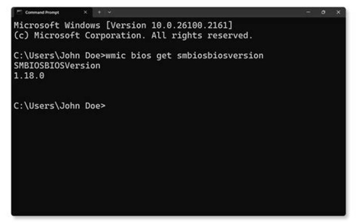 Can PCSX2 run BIOS?